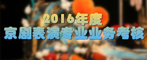 日本www鸡巴视频国家京剧院2016年度京剧表演专业业务考...